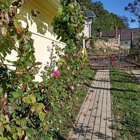 Lately Renovated Country House Trenčín Eksteriør bilde