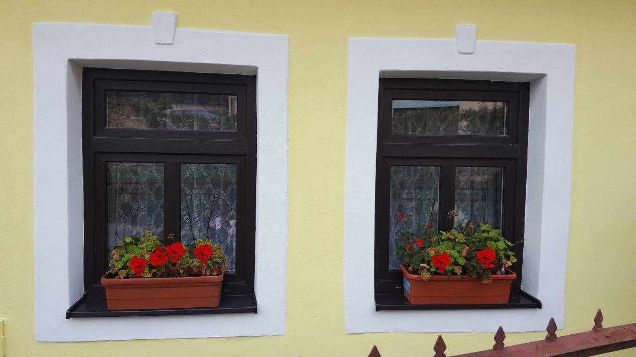 Lately Renovated Country House Trenčín Eksteriør bilde
